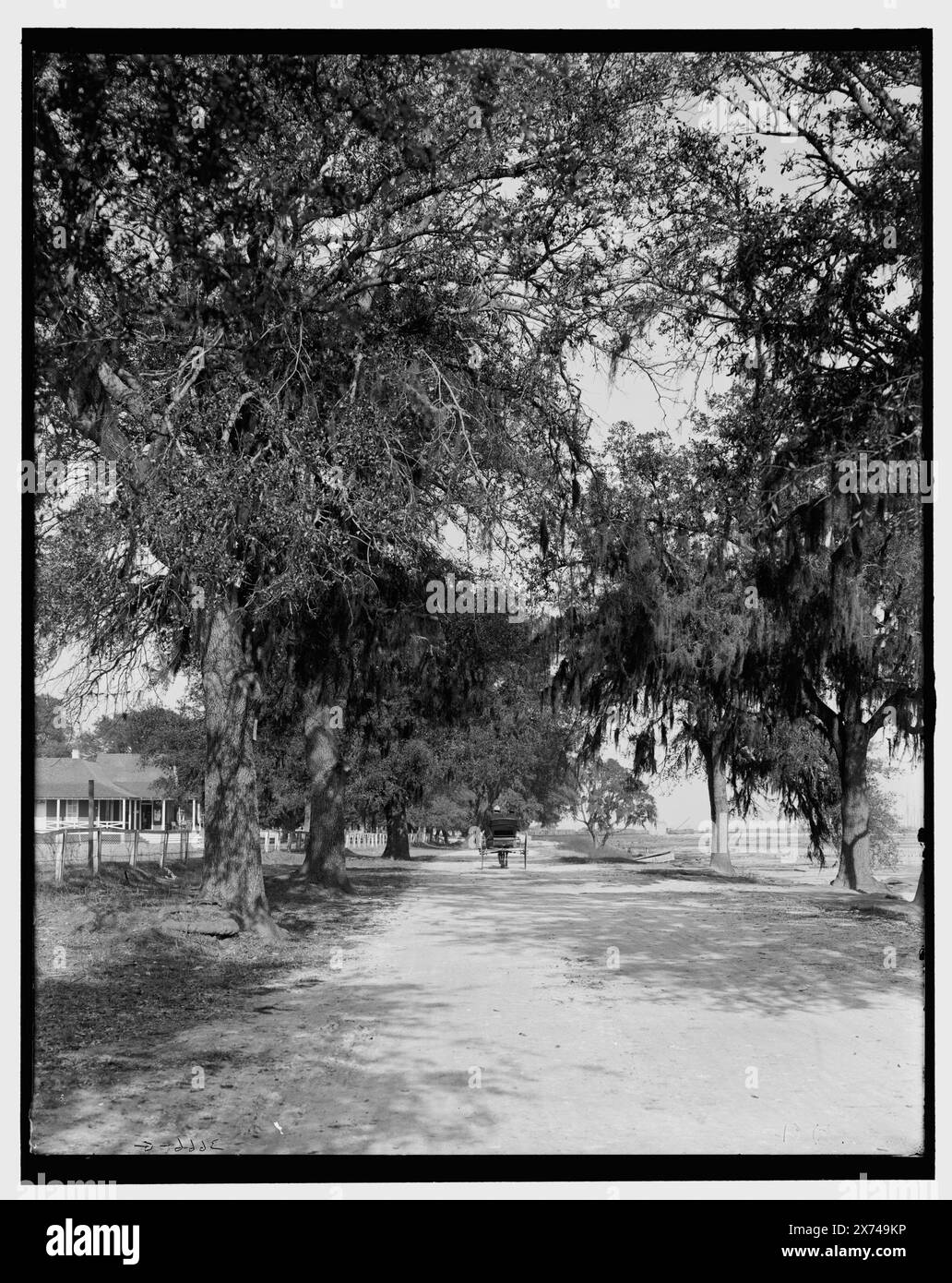 Bay Shell Road, Mobile, Ala., Titel aus Jacke., '3666 G' auf negativ. Detroit Publishing Co.-Nr. 034354., Geschenk; State Historical Society of Colorado; 1949, Streets. , Usa, Alabama, Mobile. Stockfoto