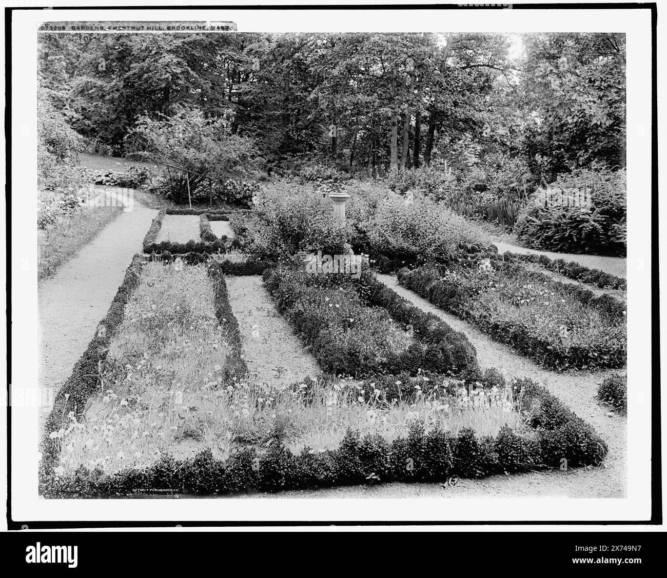 Gardens, Chestnut Hill, Brookline sic, Mass., entsprechende Glastransparenz (mit demselben Seriencode) verfügbar auf Videobildschirm 1A-31024., '14030' und 'T.E. Morri' auf Transparency., Detroit Publishing Co.-Nr. 073265., Geschenk; State Historical Society of Colorado; 1949, Estates. , Gärten. , Usa, Massachusetts, Newton. Stockfoto
