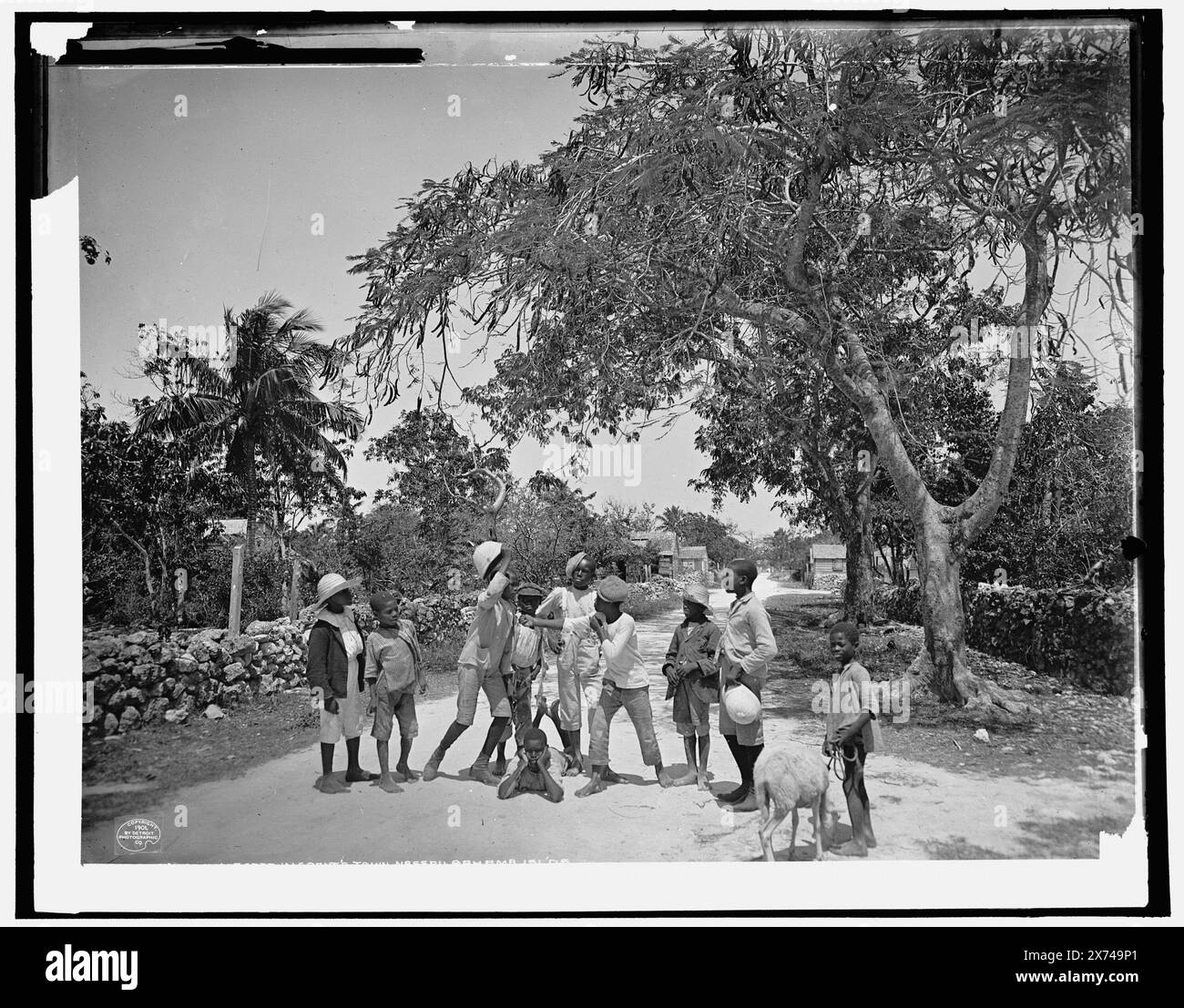 Street Scrap in Grant's Town, Nassau, W.I., entsprechende Glastransparenz (mit demselben Seriencode) auf Videobildschirm 1A-29618., Attribution Based on negative with similar Numbers., 'WHJ 16' on Transparency., Detroit Publishing Co.-Nr. 013488., Geschenk; State Historical Society of Colorado; 1949, Schwarze, Kinder. , Kinder, die sich falsch verhalten. , Bahamas, Nassau. Stockfoto