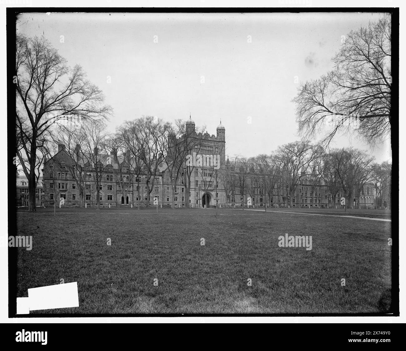 Yale University Buildings, Ostfront, New Haven, Anschluss, Titel aus Jacke. '3913' auf negativ. Phelps Hall ist abgebildet. Detroit Publishing Co.-Nr. 039325., Geschenk; State Historical Society of Colorado; 1949, Universities & Colleges. , Bildungseinrichtungen. , Usa, Connecticut, New Haven. Stockfoto