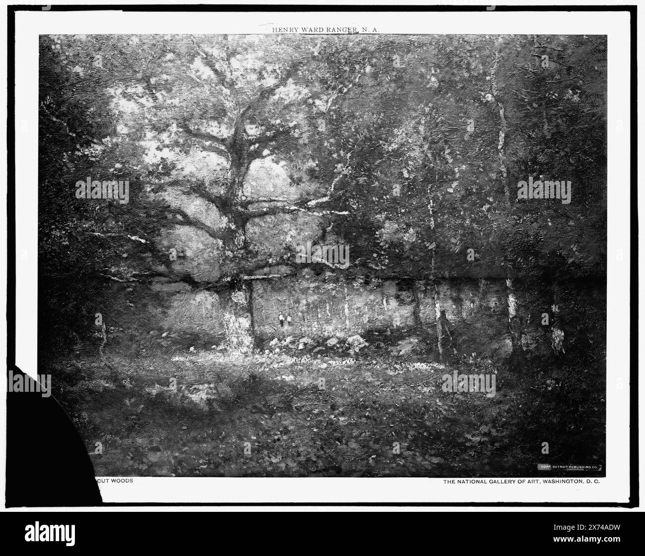 Connecticut Woods, Date Based on Detroit, Thistle Publications (1912)., Foto eines Gemäldes in der National Gallery of Art, Washington, D.C., Detroit Publishing Co. No. M 651., Geschenk; State Historical Society of Colorado; 1949, Forests. , Usa, Connecticut. Stockfoto
