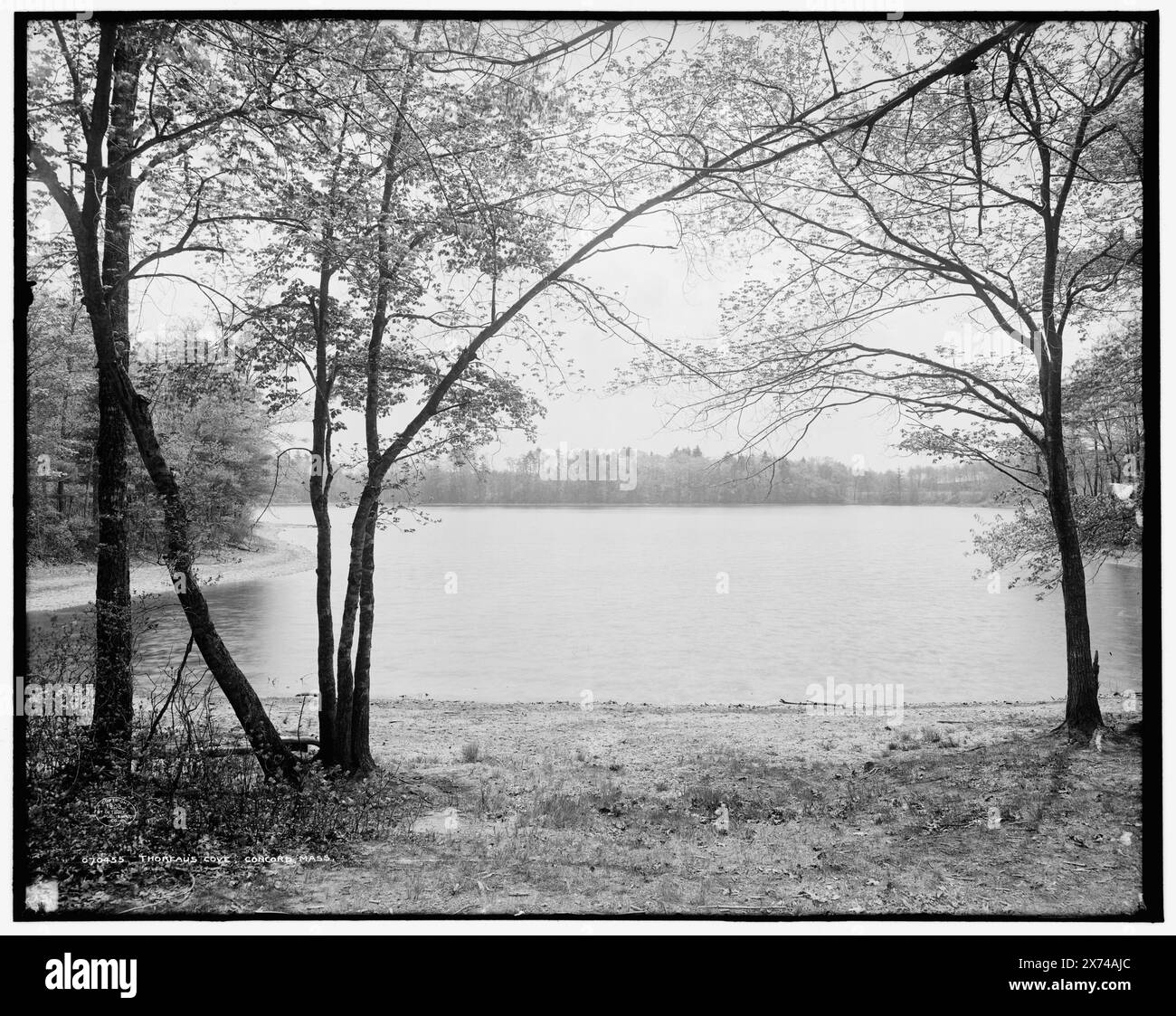 Thoreau's Cove, Concord, Mass., '40[, .]' Auf negativ. Detroit Publishing Co.-Nr. 070455., Gift; State Historical Society of Colorado; 1949, Thoreau, Henry David, 1817-1862, Häuser und Orte. , Seen und Teiche. Usa, Massachusetts, Walden Pond. Stockfoto