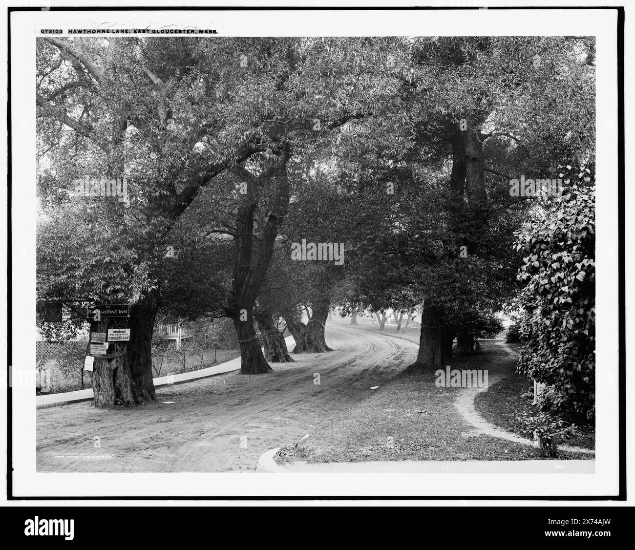 Hawthorne Lane, d. h. Street, East Gloucester, Mass., Schilder auf dem Baum: Direkt zum Hawthorne Inn (rechts), A.P.T. deHaas Gate Lodge (links) und Miss Willard's Studio., Detroit Publishing Co.-Nr. 072103., Geschenk; State Historical Society of Colorado; 1949, Streets. , Usa, Massachusetts, Gloucester. Stockfoto