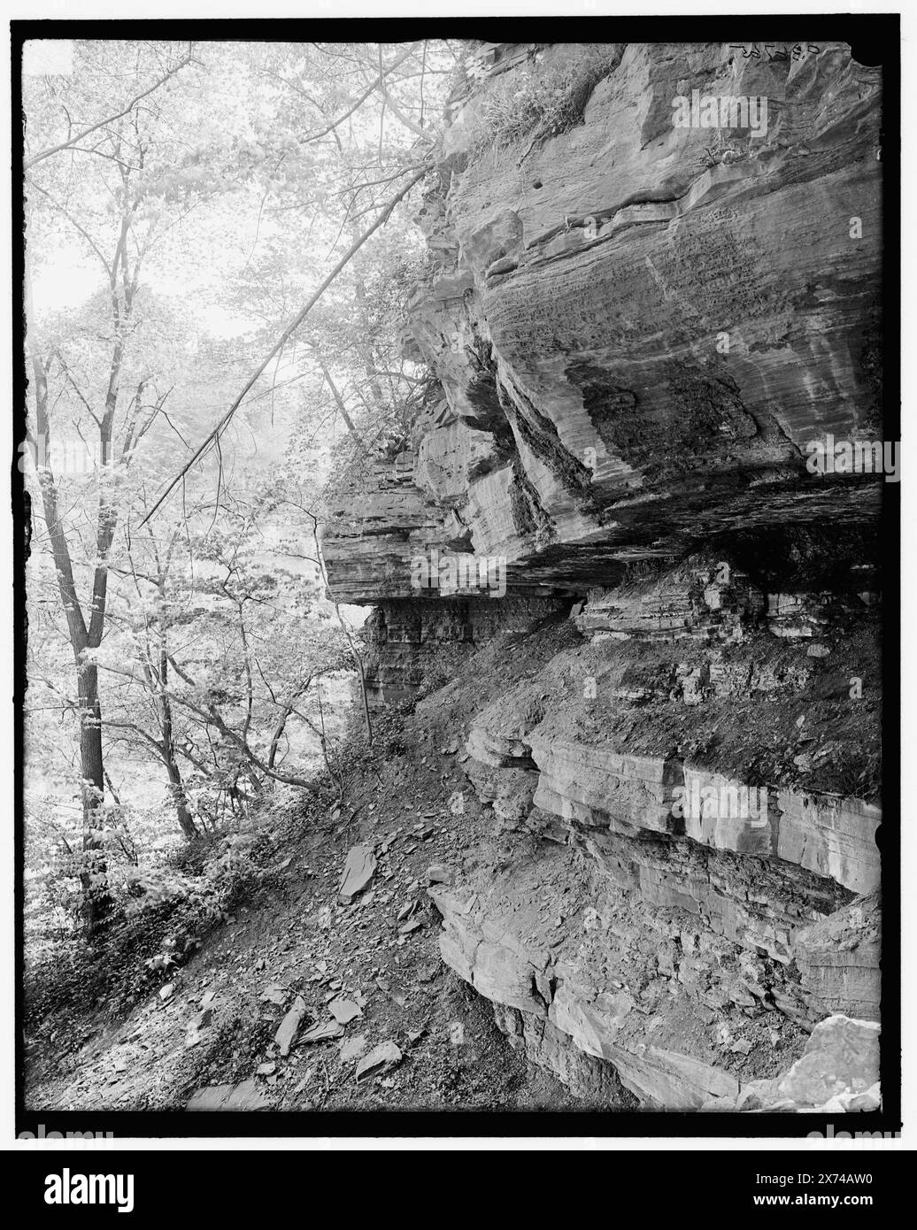 Rochester, N.Y., Rocky Ledge, Maplewood Park, Titel aus Jacke. '4017' auf negativ. Detroit Publishing Co.-Nr. 036765., Geschenk; State Historical Society of Colorado; 1949, Parks. , Cliffs. , Usa, New York (Bundesstaat), Rochester. Stockfoto