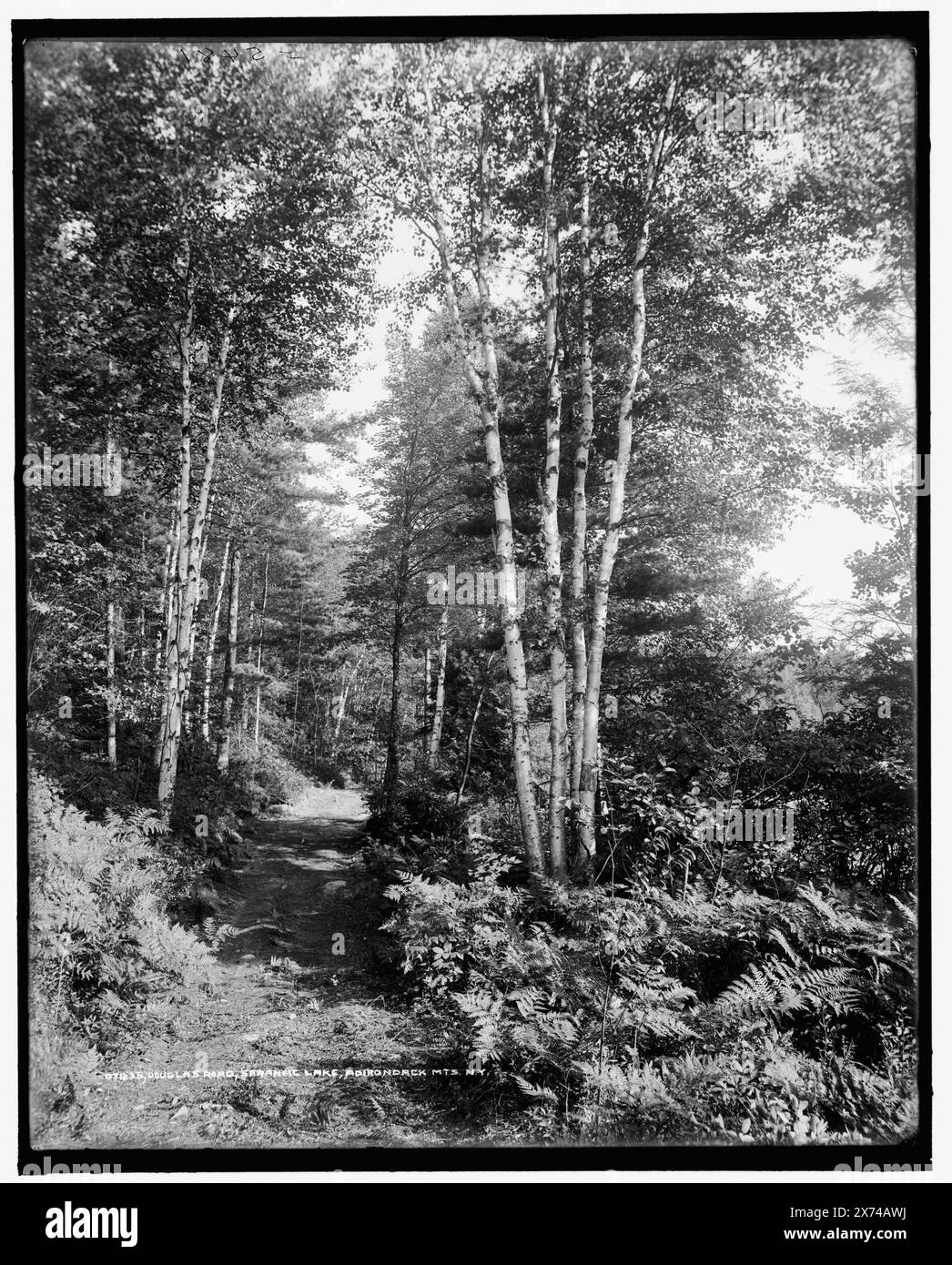 Douglas Road, Saranac Lake, Adirondack MTS., N.Y., wahrscheinlich in der Nähe des Upper Saranac Lake., 'G 5481' auf negativ. Detroit Publishing Co.-Nr. 071235., Geschenk; State Historical Society of Colorado; 1949, Roads. , Berge. , Seen und Teiche. , Wälder. , Usa, New York (Bundesstaat), Adirondack Mountains. , Usa, New York (Bundesstaat), Saranac Lakes. Stockfoto