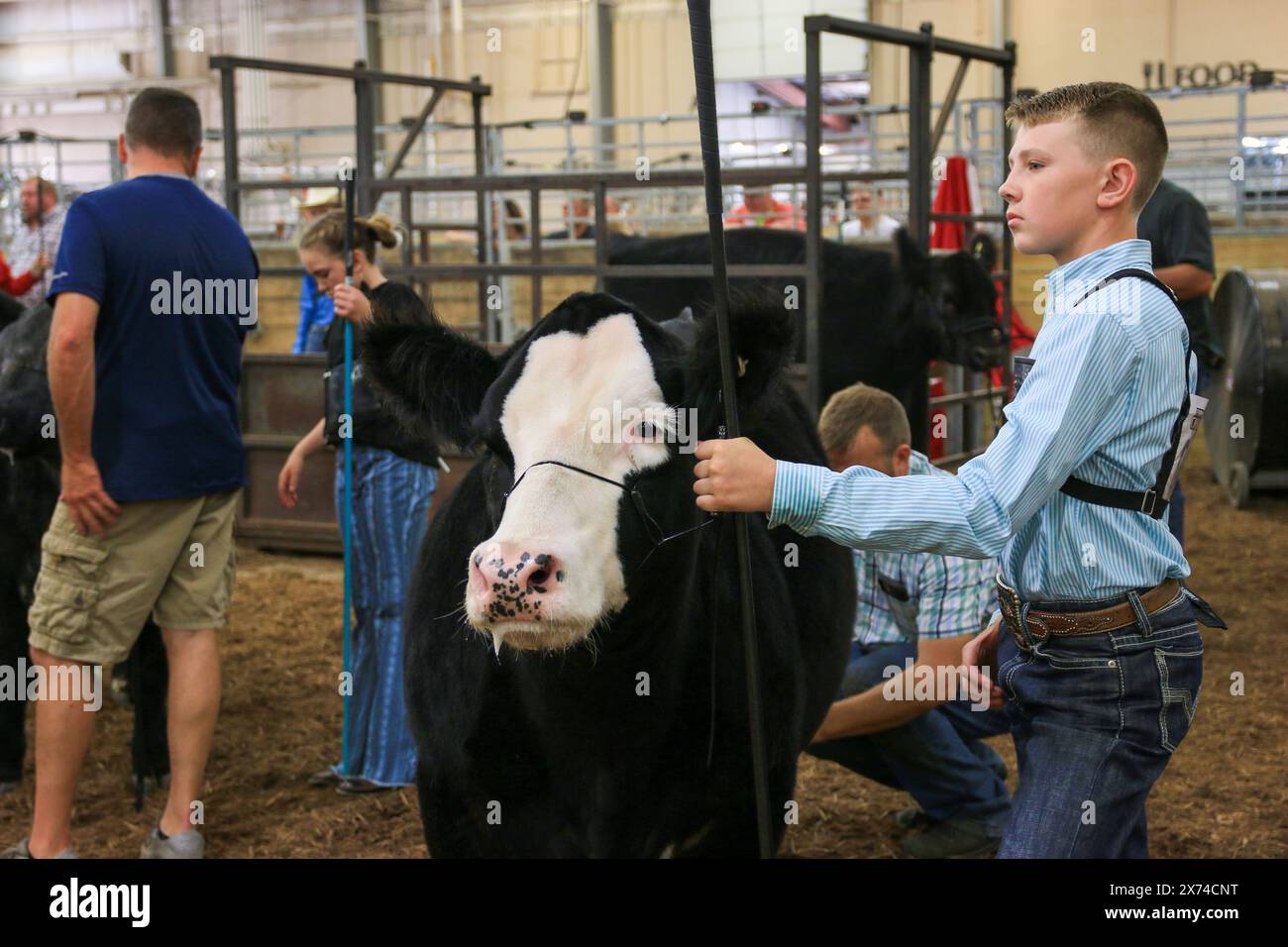 Columbus, Ohio, USA – 5. August 2023: Eine Kuh und ihr junger Landwirt bereiten sich auf die Ohio State Fair 2023 vor. Stockfoto