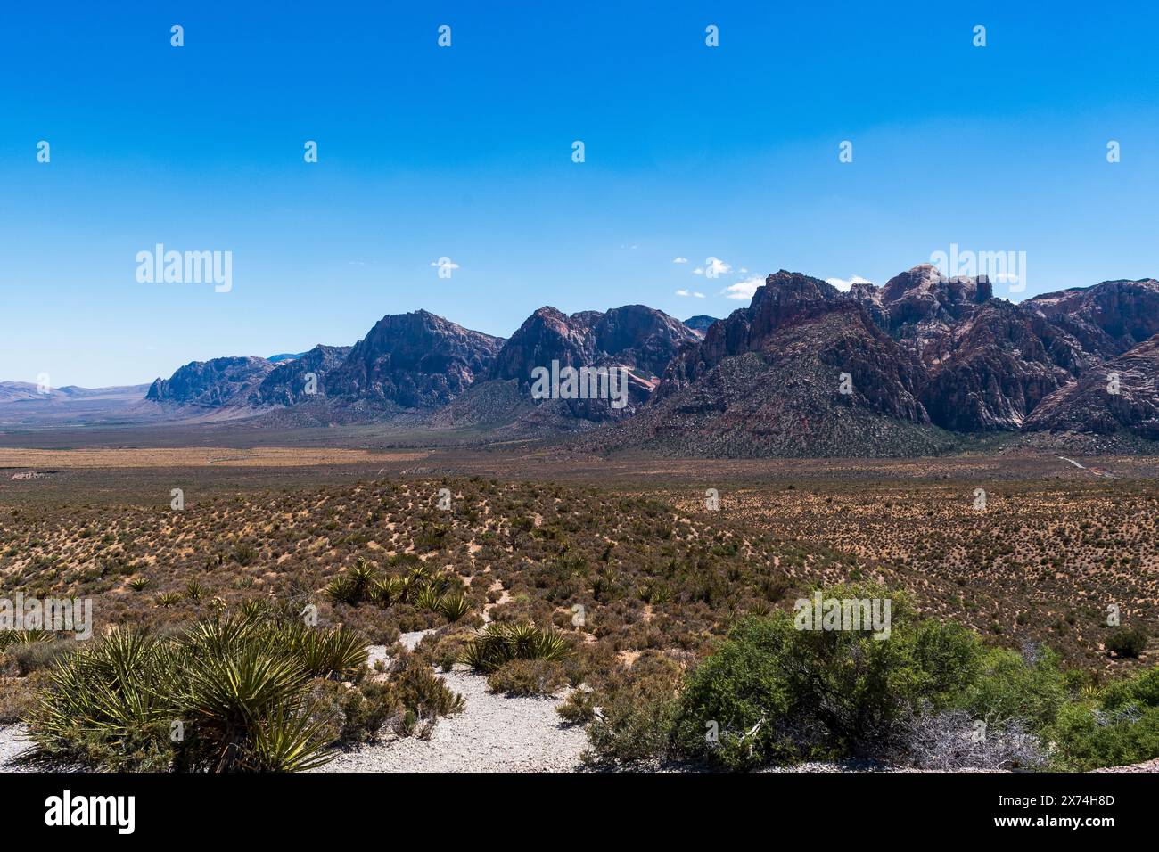 Wunderschöne Red Rock Canyon National Conservation Area, Las Vegas, Nevada, USA Stockfoto