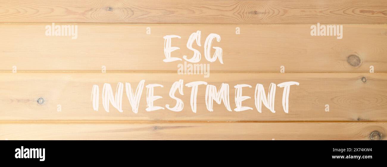 ESG-Symbol für Investitionen im Bereich der sozialen Governance im Umweltbereich. Konzeptworte ESG-Investition auf schöne Holzwand. Wunderschöner Hintergrund aus Holz. Busine Stockfoto