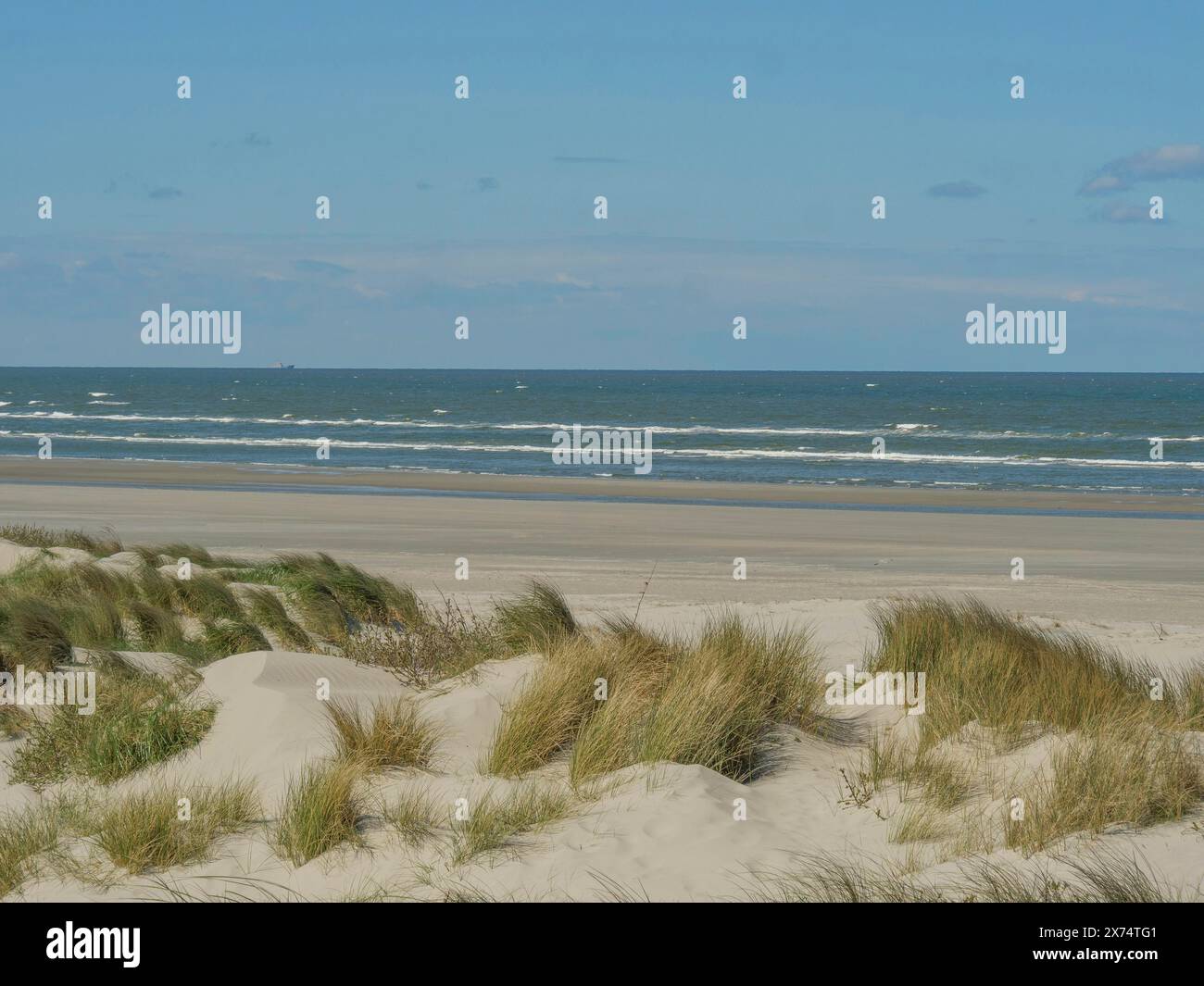 Küstenlandschaft mit Dünen und Gras, Meerblick unter einem klaren blauen Himmel, Strand und Dünen mit Gras und einer Bank am Meer, nes, ameland, The Stockfoto