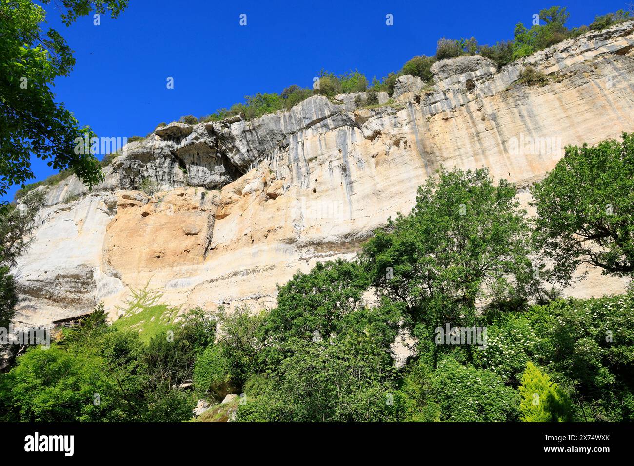 Die prähistorische Stätte Laugerie-Basse, ein Felsvorhang in der Gemeinde Les Eyzies in Dordogne, der Welthauptstadt der Vorgeschichte. Der Fluss Vézère fließt bei Stockfoto