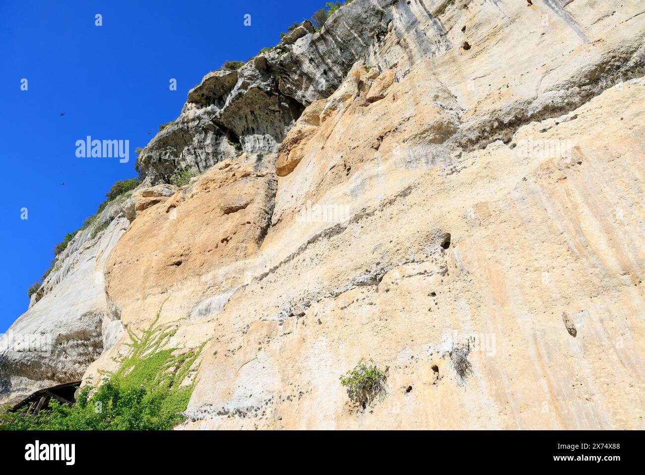 Die prähistorische Stätte Laugerie-Basse, ein Felsvorhang in der Gemeinde Les Eyzies in Dordogne, der Welthauptstadt der Vorgeschichte. Der Fluss Vézère fließt bei Stockfoto
