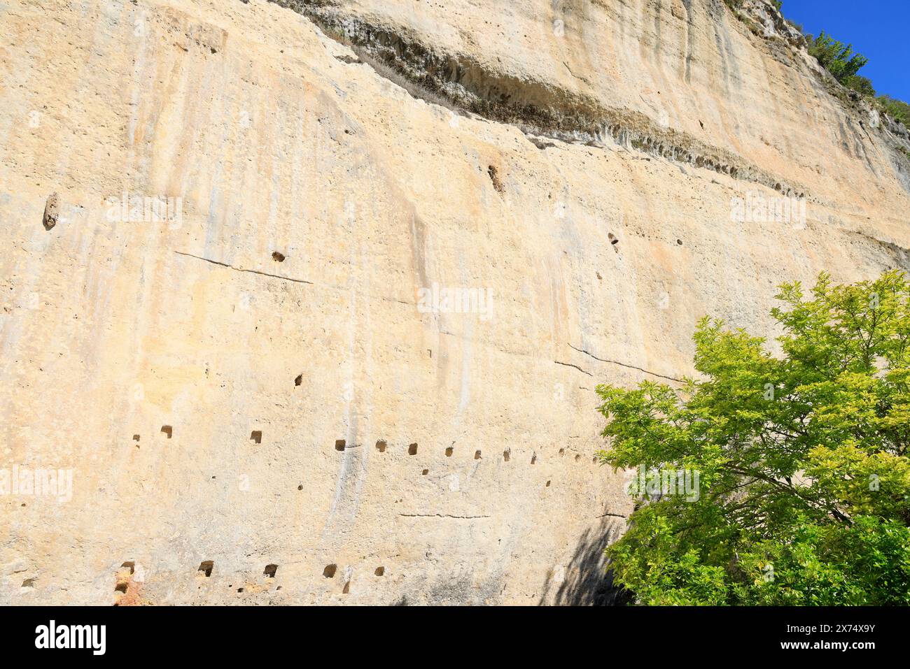 Die prähistorische Stätte Laugerie-Basse, ein Felsvorhang in der Gemeinde Les Eyzies in Dordogne, der Welthauptstadt der Vorgeschichte. Der Fluss Vézère fließt bei Stockfoto