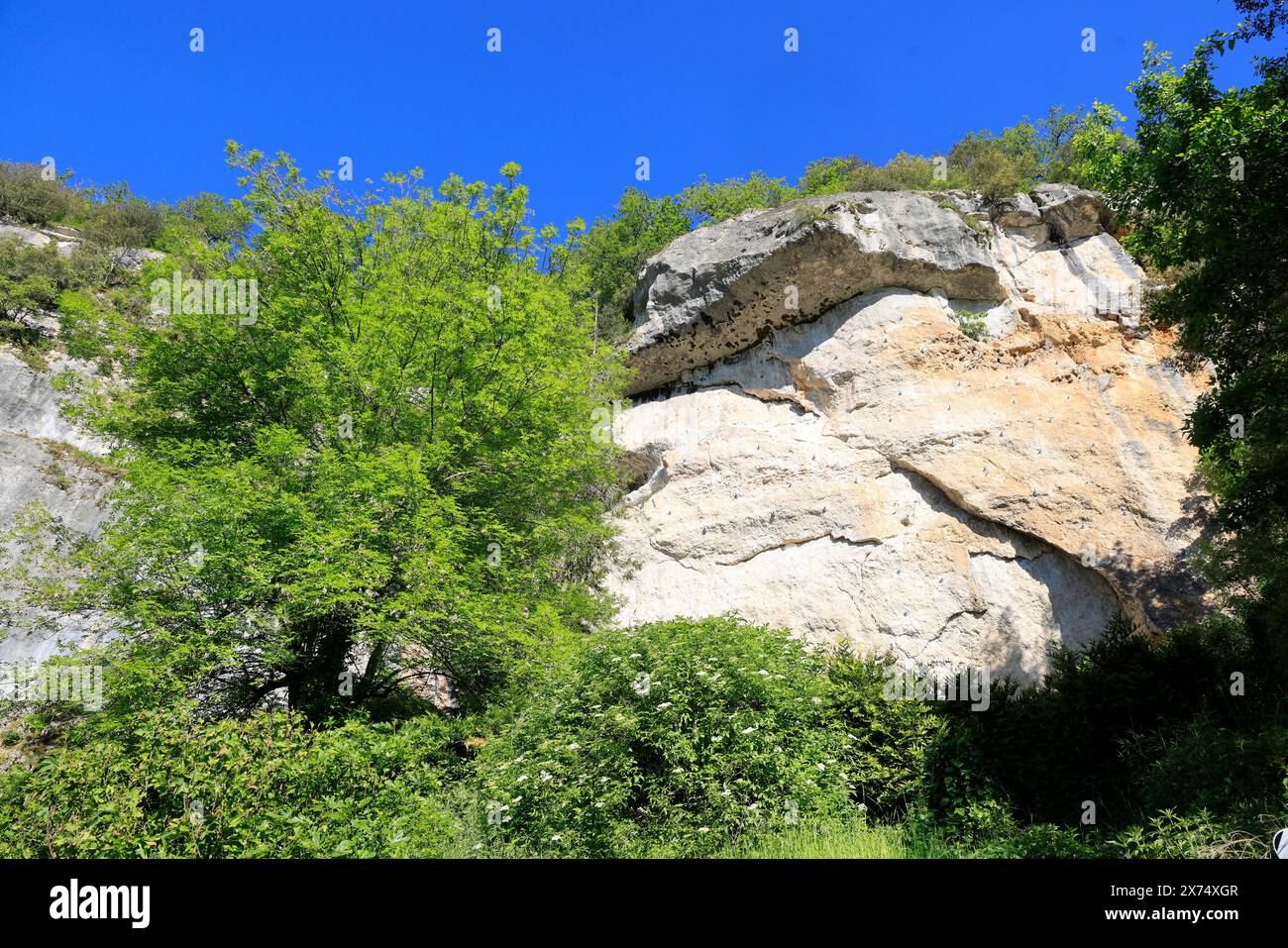 Die prähistorische Stätte Laugerie-Basse, ein Felsvorhang in der Gemeinde Les Eyzies in Dordogne, der Welthauptstadt der Vorgeschichte. Der Fluss Vézère fließt bei Stockfoto