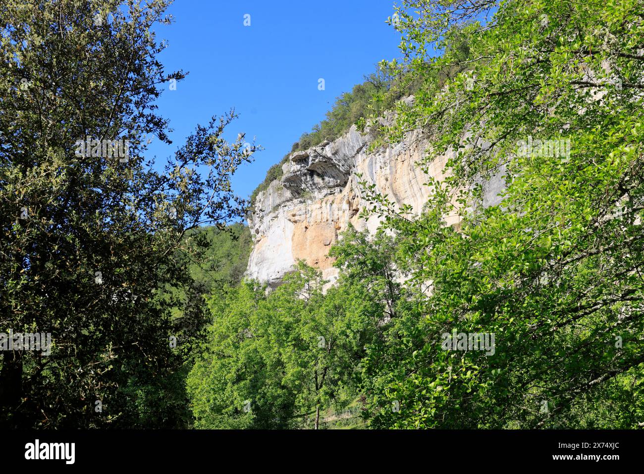 Die prähistorische Stätte Laugerie-Basse, ein Felsvorhang in der Gemeinde Les Eyzies in Dordogne, der Welthauptstadt der Vorgeschichte. Der Fluss Vézère fließt bei Stockfoto