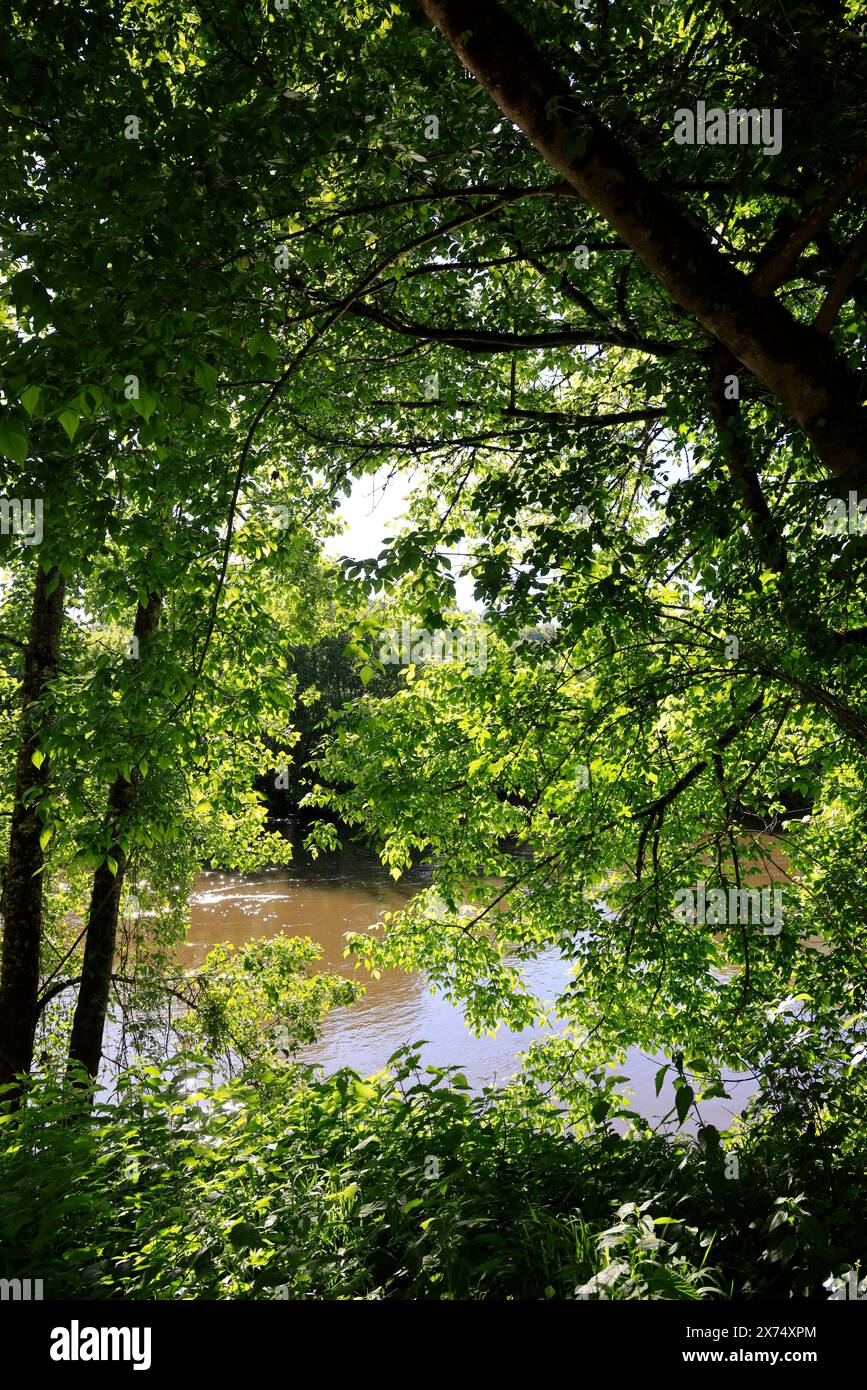 Die prähistorische Stätte Laugerie-Basse, ein Felsvorhang in der Gemeinde Les Eyzies in Dordogne, der Welthauptstadt der Vorgeschichte. Der Fluss Vézère fließt bei Stockfoto