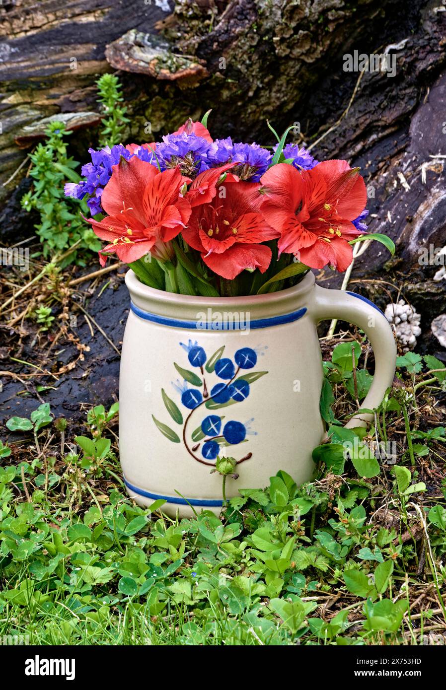 Ein Stillleben von Saint Martin Lily Blumen und lila Statice Blumen. In einer kleinen Bechervase. Durch einen Baumstamm. Stockfoto