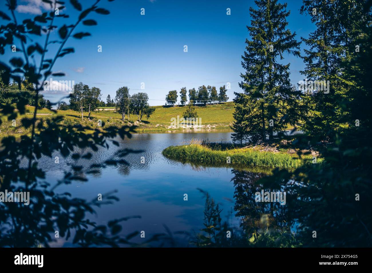 Ruhiger See umgeben von Wald und grasbewachsenen Hügeln in Norwegen Stockfoto