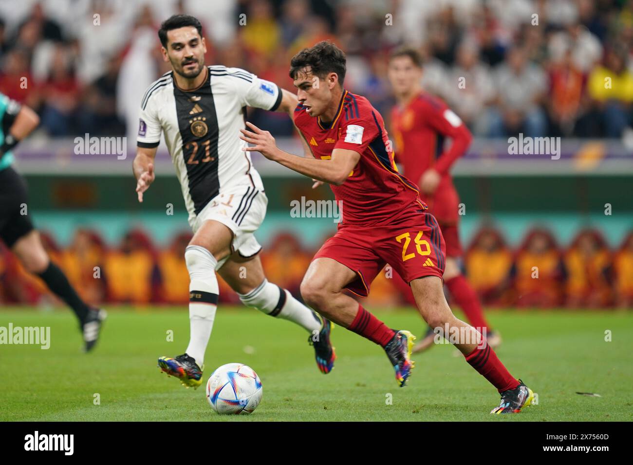 Doha, Katar. 27. november 2022. Pedri während des Spiels zwischen Spanien und Deutschland, Gruppe E, FIFA Fussball-Weltmeisterschaft Katar 2022. Stockfoto