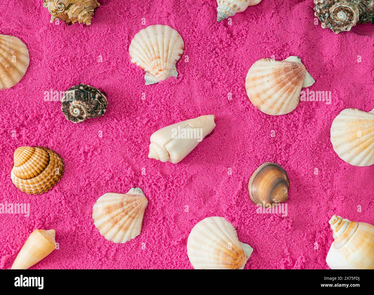 Kreative surreale Sommermusterkomposition aus verschiedenen Muscheln auf rosafarbenem Sandhintergrund. Minimales Konzeptfoto von Sommerferien. Stockfoto