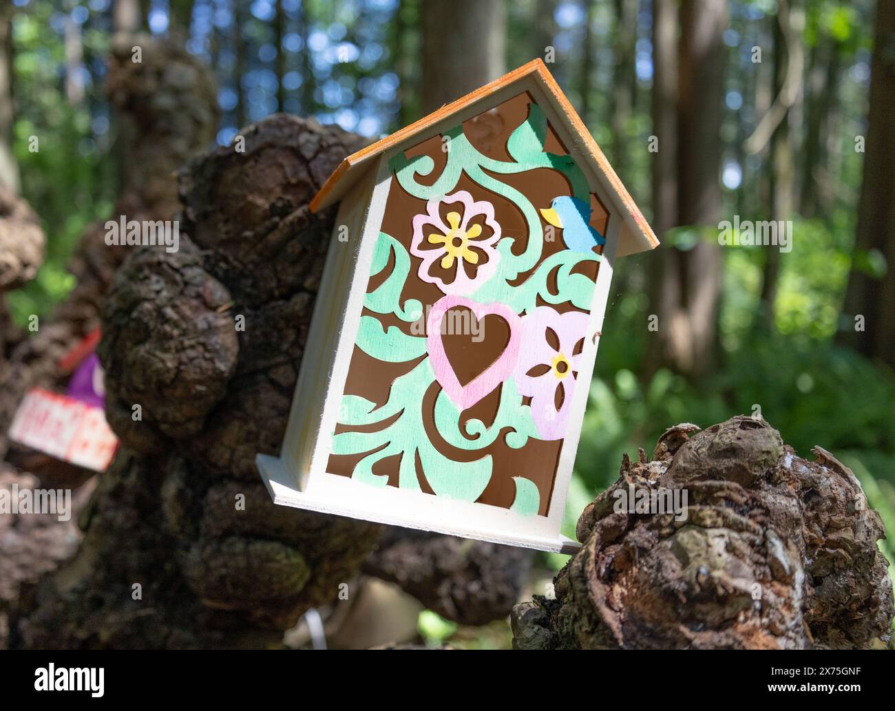 Sammlung von Vogelhäusern, die von Kindern gebaut und auf umgestürzten Bäumen im Wald platziert wurden. Stockfoto