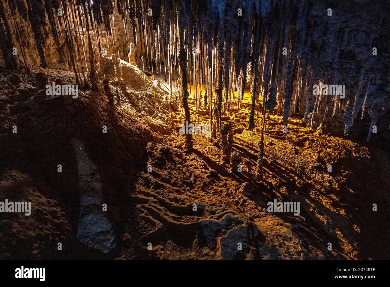 Das Innere der Marakoopa Cave, Mole Creek Tasmanien Stockfoto