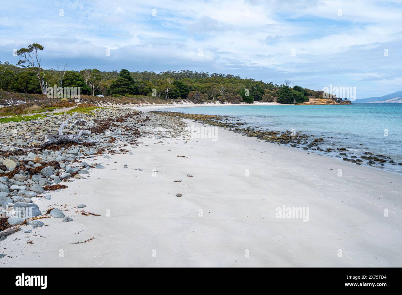 Rutherford Beach, Maria Island, Tasmanien Stockfoto