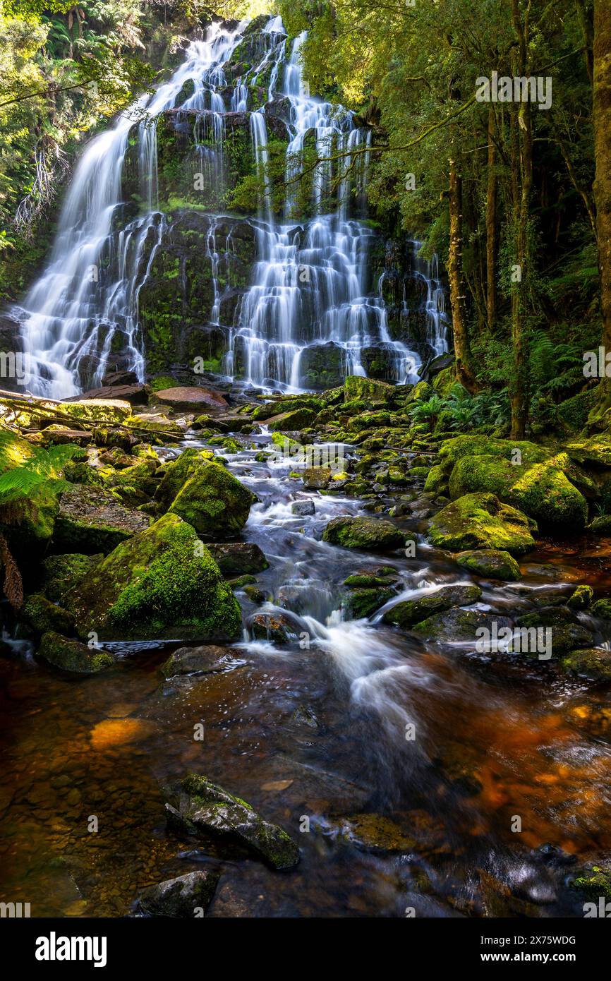 Nelson Falls, Franklin-Gordon Wild Rivers National Park, Lyell Highway, Tasmanien Stockfoto