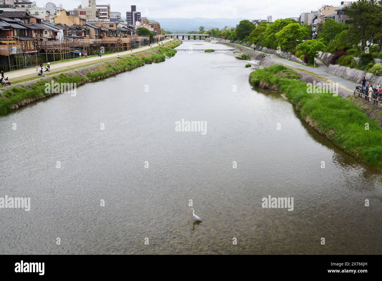 Fluss, der durch das Stadtzentrum von Kyoto in Japan fließt Stockfoto