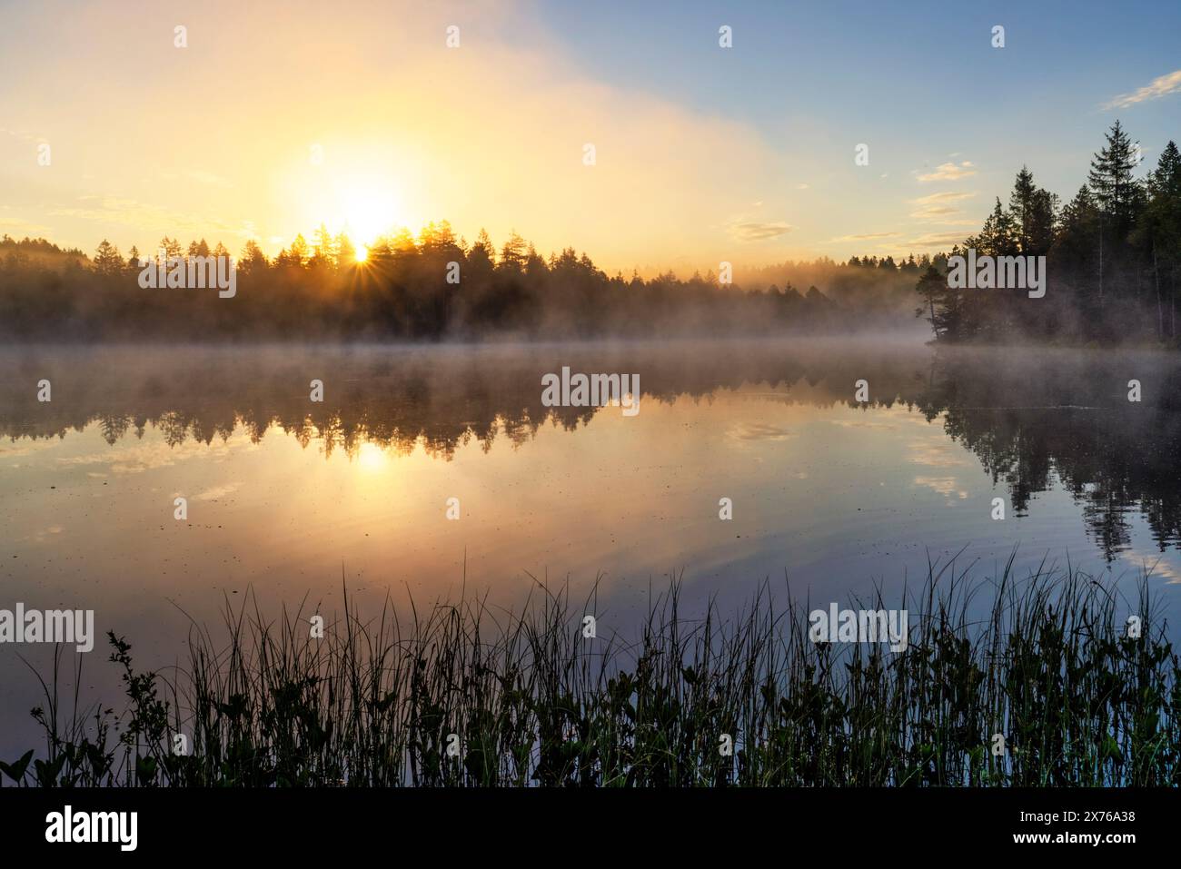 Der kleine Moorsee Etang de la Gruère im Schweizer Kanton Jura. Die Stimmung am Morgen kurz vor und nach Sonnenaufgang Stockfoto