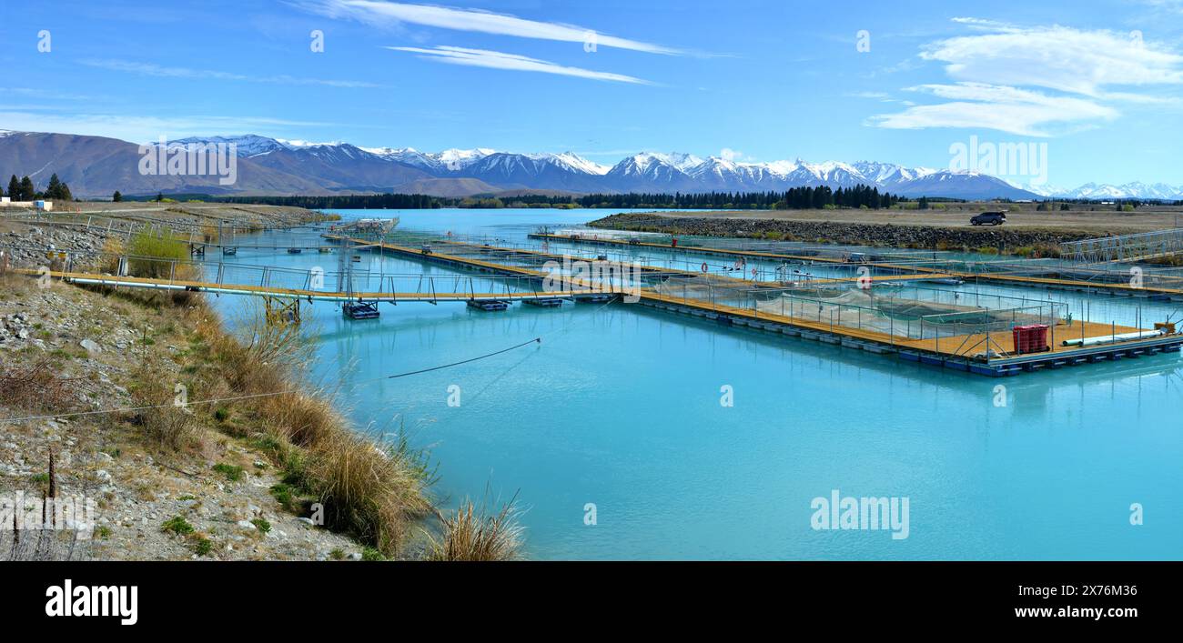 Panoramablick auf eine Lachsfarm am Lake Ruataniwha im Zentrum von Otago, Neuseeland, und die erstaunliche blaue Farbe der südlichen Seen. Stockfoto
