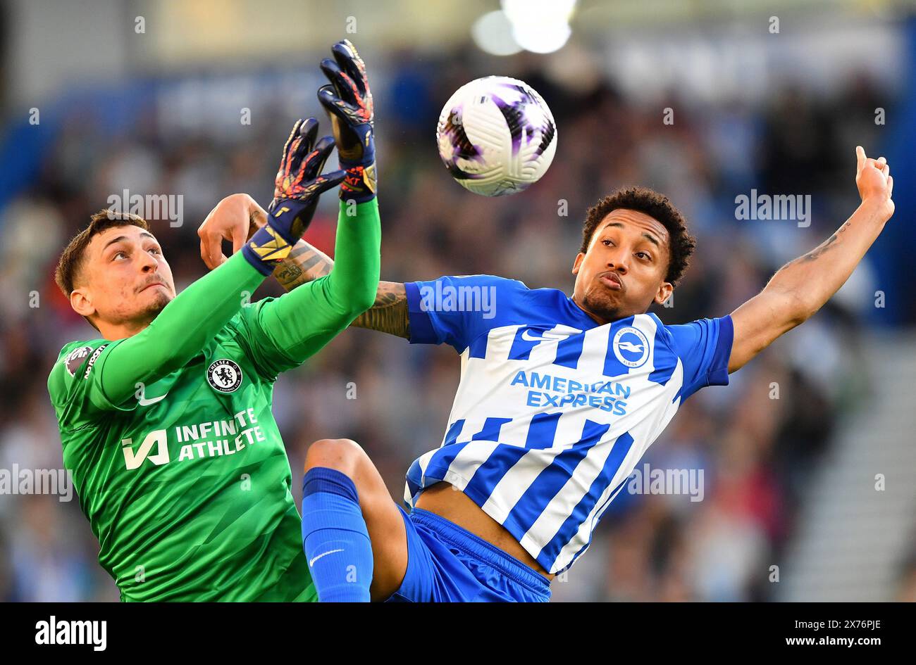 Djordje Petrovic aus Chelsea und Joao Pedro aus Brighton und Hove Albion Herausforderung für den Ball - Brighton & Hove Albion gegen Chelsea, Premier League, Amex Stadium, Brighton, Großbritannien - 15. Mai 2024 nur redaktionelle Verwendung - DataCo-Einschränkungen gelten Stockfoto