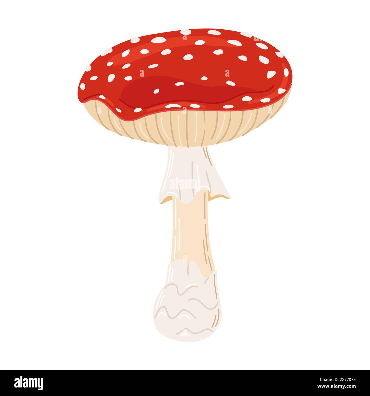 Fliegen Sie den roten Giftpilz. Handgezeichnete Amanita muscaria ...