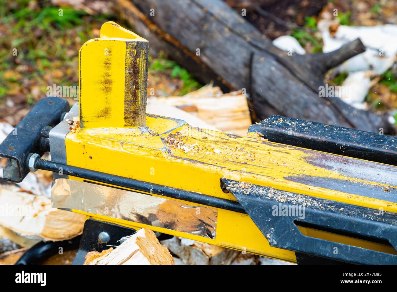 Mechanische Wirkung eines Holzspalters mit zerstörerischer Kraft auf einen Birkenbaum. Stockfoto