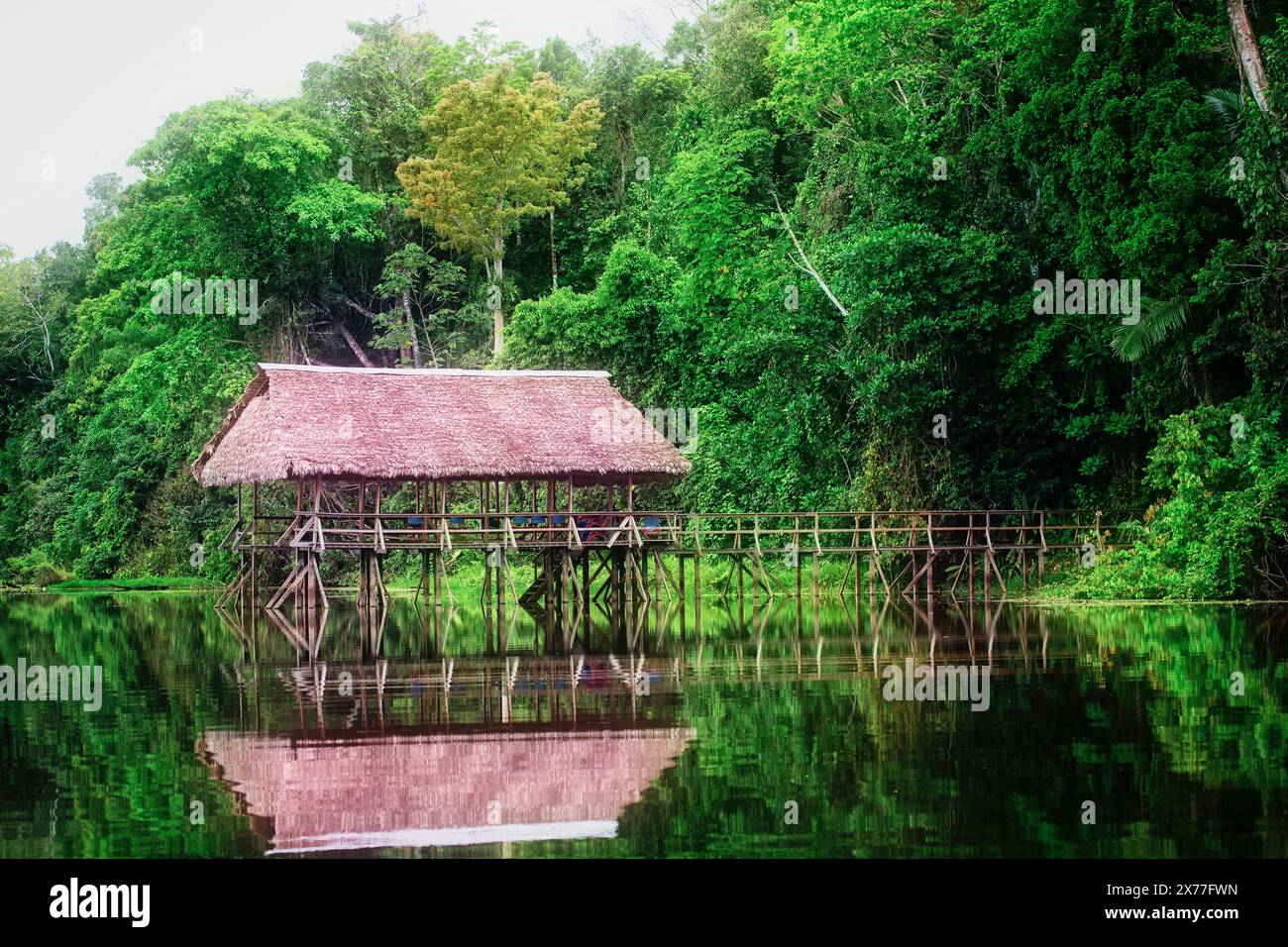 Eine Bootsanlegestelle am Manu-See im peruanischen Amazonasgebiet. Stockfoto