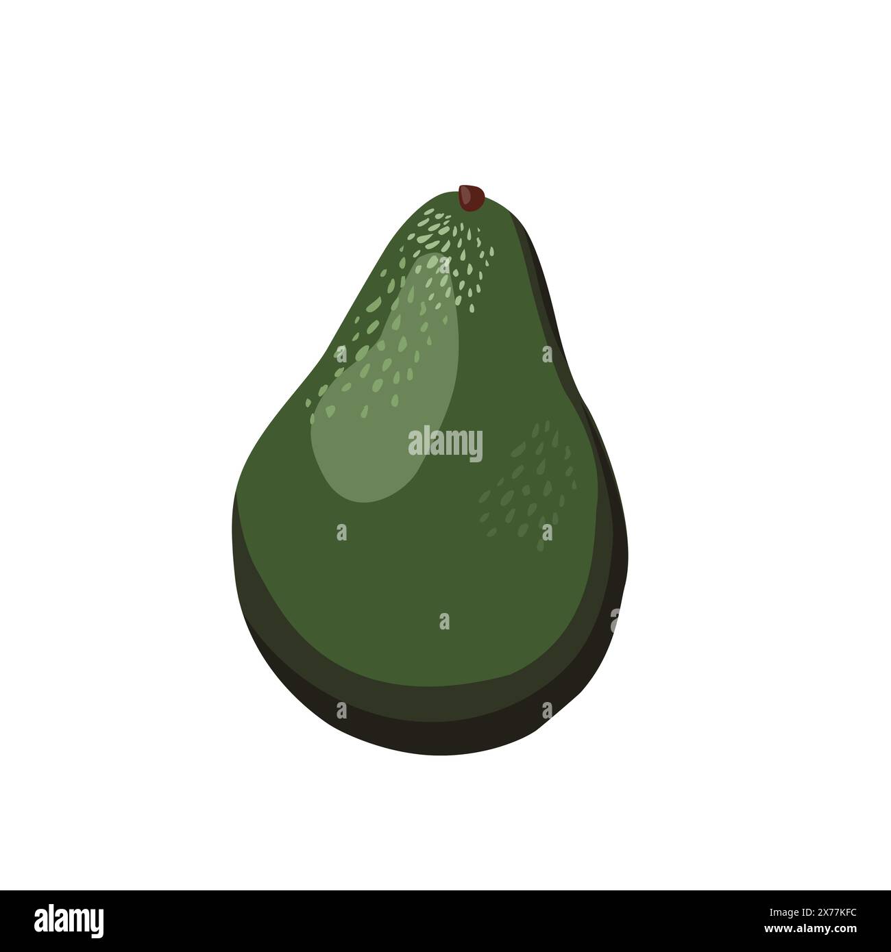 Frische ganze grüne Avocado isoliert auf weißem Hintergrund. Vektor-Clipart der Seitenansicht. Lebensmittelillustration in flachem Stil. Sommerclipart für die Gestaltung der Karte, Stock Vektor