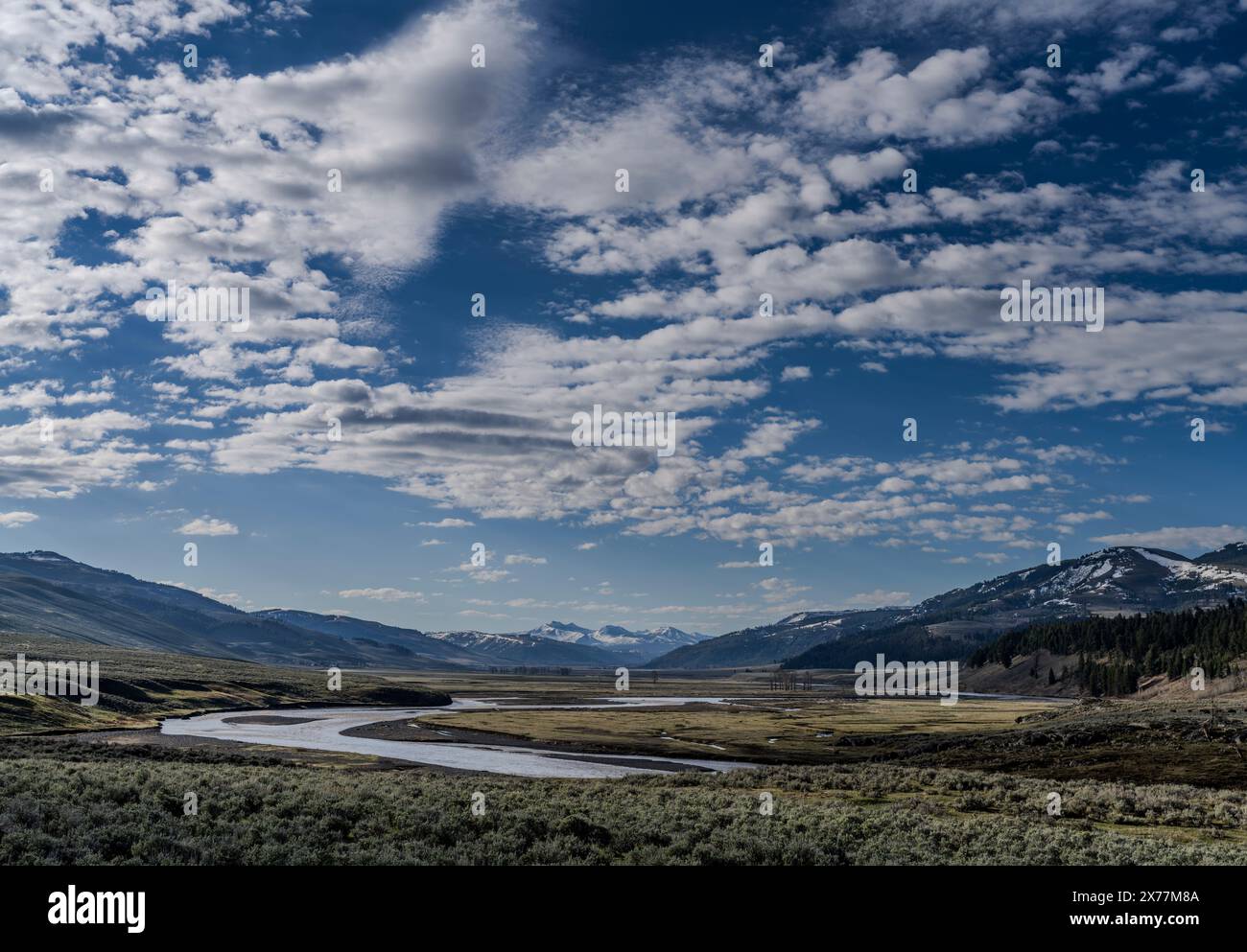 Das Lamar River Valley im Yellowstone National Park sieht man von der Gegend des Examen Ridge aus nach Osten. Stockfoto
