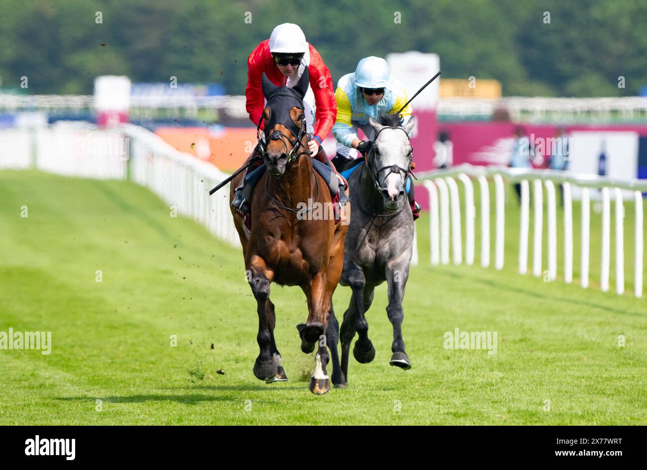 Newbury Racecourse, Großbritannien. Samstag, 18. Mai 2024. Publikum und Robert Havlin gewinnen die Gruppe 1 Al Shaqab Lockinge Stakes für Trainer John & Thady Gosden und Besitzer Cheveley Park Stud Credit JTW equine Images / Alamy Live News Stockfoto