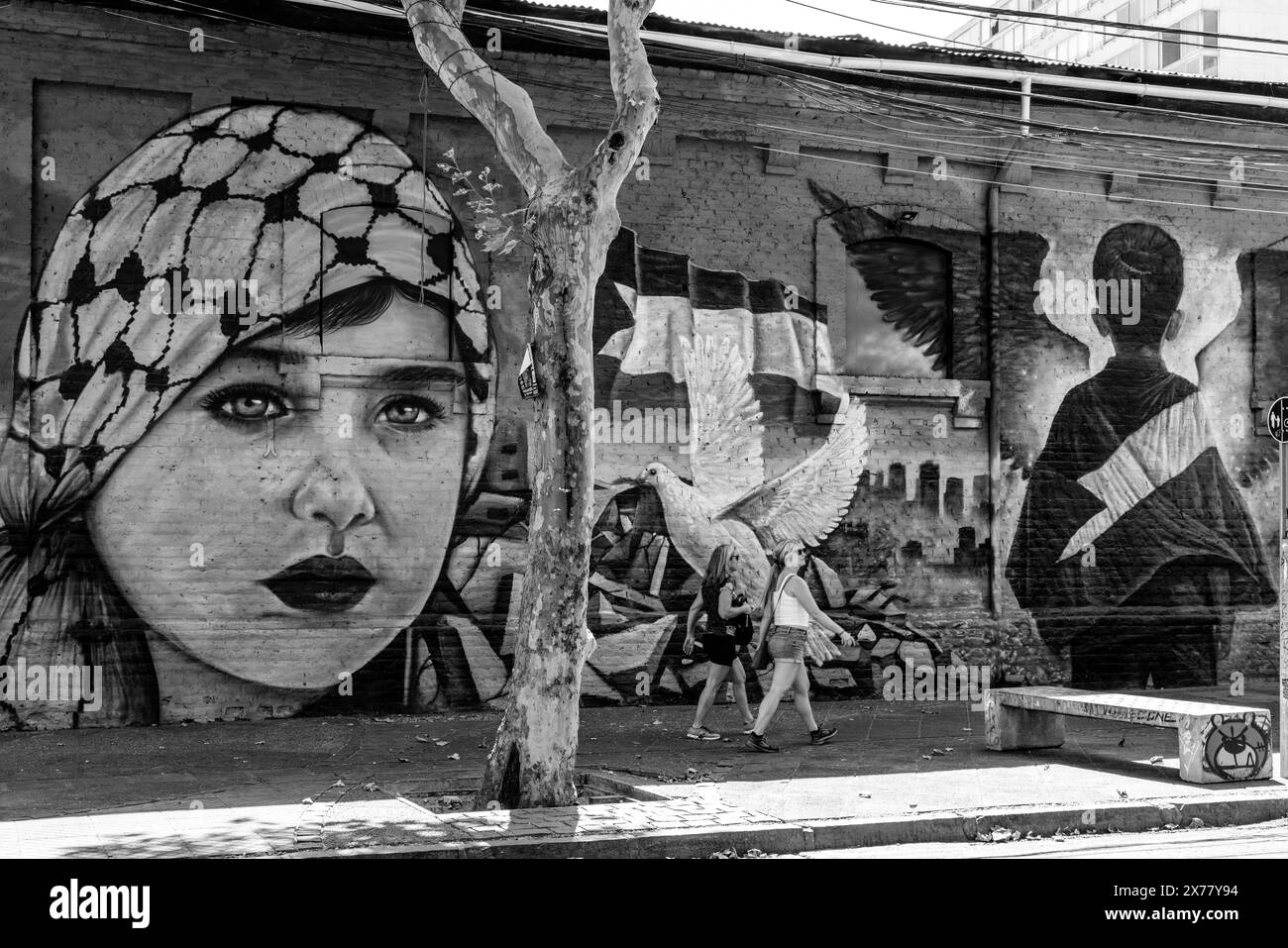 Pro Palestine Street Art, Santiago, Chile, Südamerika. Stockfoto