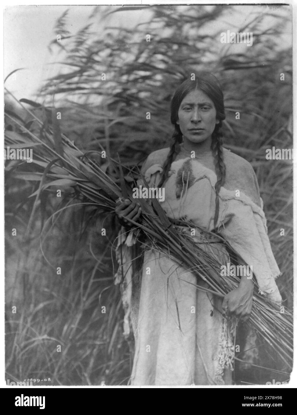 The Rush Collaper, Edward S. Curtis., in: Curtis, North American Indian, Supppl. Vol. 5, pl. 160., Nr. X2899., dieser Datensatz enthält nicht geprüfte Daten von der Untertitelkarte., Nachverfolgungen der Untertitelkarte: Indianer; Ph. Ind.; Frauenberufe. Stockfoto