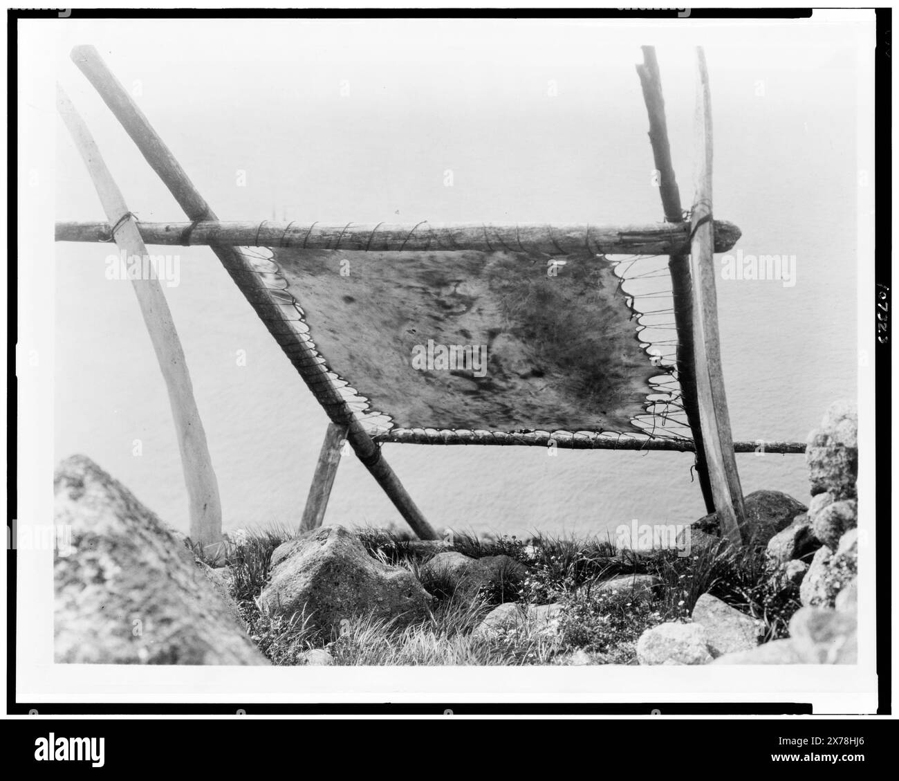 Drying Walrus hide, Diomede, Alaska, Edward S. Curtis Collection., veröffentlicht in: The North American Indian / Edward S. Curtis. [Seattle, Washington] : Edward S. Curtis, 1907-30, v. 20, S. 124. Indianer von Nordamerika, Alaska, 1920-1930. , Häute und Felle, 1920-1930. , Bräunung, Alaska, Diomede, 1920-1930. Stockfoto