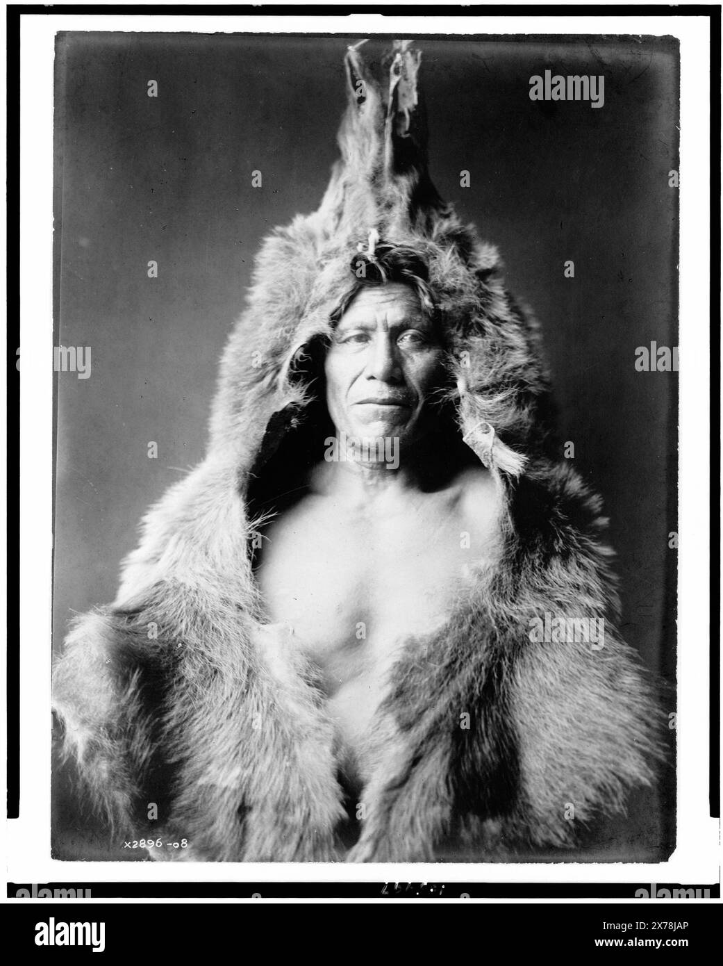 Bärenbauch, Arikara-Indianer-Porträt, nach vorne gerichtet, mit Bärenfell, Titel vom Bibliothekspersonal. Curtis Nr. 2896–08., ist Teil von: Edward S. Curtis Collection ., veröffentlicht in: The North American Indian / Edward S. Curtis. Edward S. Curtis, 1907-30 Suppl., V. 5, pl. 150., veröffentlicht in: „American Indians“ Kapitel des eBook Great Photographs from the Library of Congress, 2013. Bärenbauch. Indianer von Nordamerika, Kleidung & Kleidung, 1900-1910. Arikara-Indianer, Kleidung & Kleidung, 1900-1910. , Häute und Felle, 1900-1910. Stockfoto