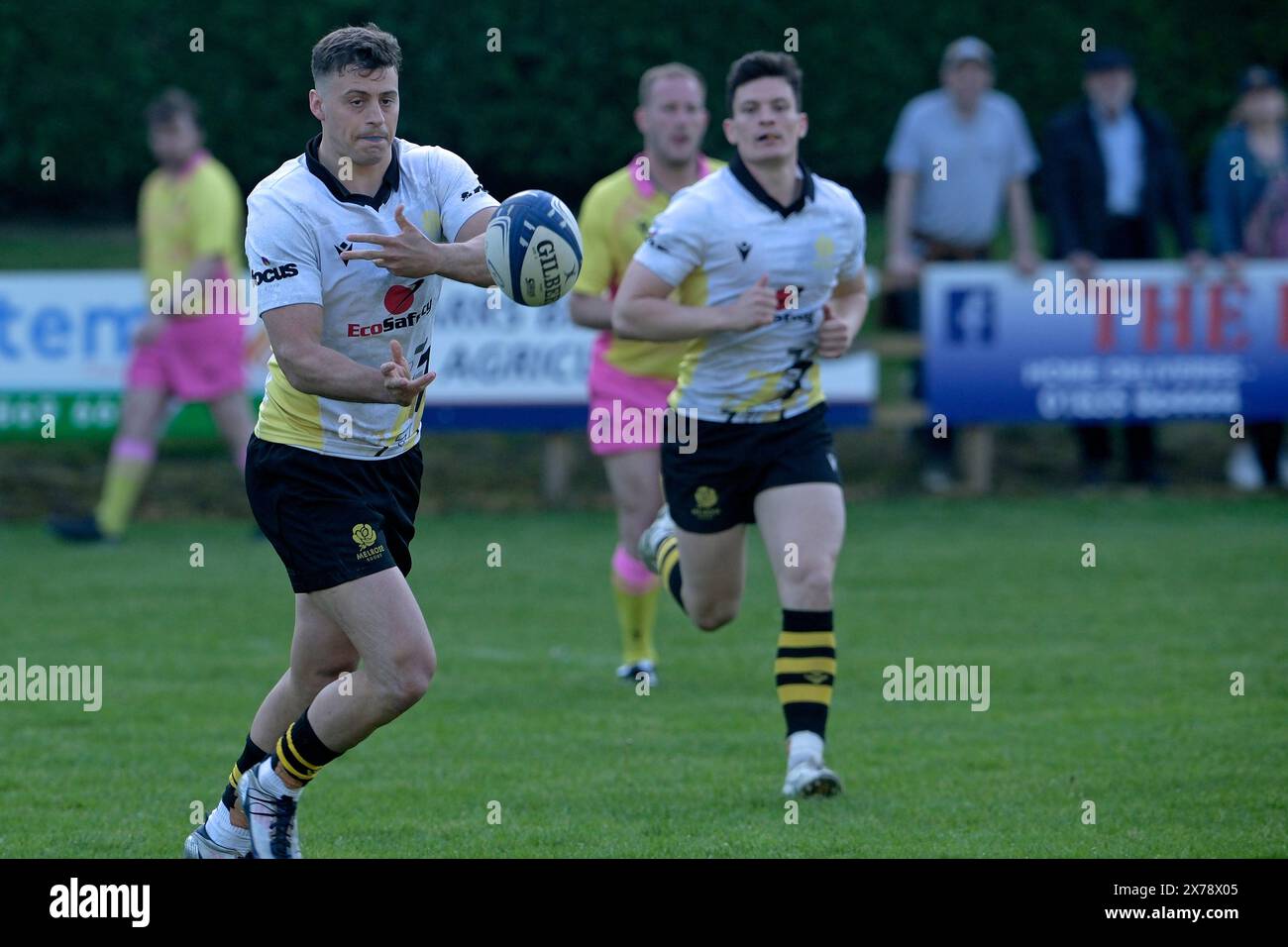 Jedburgh, Großbritannien. Mai 2024. Kings of the 7s 2023 Final Round das 121. Spiel der JedForest Sevens im Riverside Park, Jedburgh. Sieger Melrose Rugby. Besiegt Gastgeber Jedforest in einem hart umkämpften Finale Jedforest 12 Melrose 19. Kings of the Sevens Series gewann Kelso RFC. Quelle: Rob Gray/Alamy Live News Stockfoto