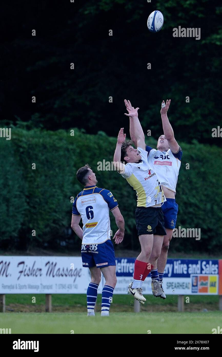 Jedburgh, Großbritannien. Mai 2024. Kings of the 7s 2023 Final Round das 121. Spiel der JedForest Sevens im Riverside Park, Jedburgh. Sieger Melrose Rugby. Besiegt Gastgeber Jedforest in einem hart umkämpften Finale Jedforest 12 Melrose 19. Kings of the Sevens Series gewann Kelso RFC. Quelle: Rob Gray/Alamy Live News Stockfoto