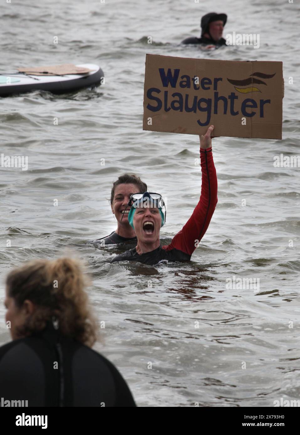 Brighton, England, Großbritannien. Mai 2024. Ein Demonstrant mit einem Schild mit der Aufschrift "˜Water Slaughter" schwimmt während der Proteste in der Nähe des West Pier im Meer. Surfers Against Sewage (SAS) und ihre Unterstützer gingen ins Meer, um die Menge an Abwasser hervorzuheben, die in Sussex's Wasserstraßen gepumpt wurde. Viele von denen, die in schicken Kleidern zum Thema Abwasser aufs Meer gingen, sagten, sie seien beim Schwimmen bereits krank geworden. SAS ist eine Wohltätigkeitsorganisation für Meeresschutz, die mit Gemeinden zum Schutz der Ozeane, Strände und Meereslebewesen zusammenarbeitet. (Kreditbild: © Martin Pope/ZUMA Press Wire) NUR REDAKTIONELLE VERWENDUNG! Nicht für kommerzielle Zwecke Stockfoto