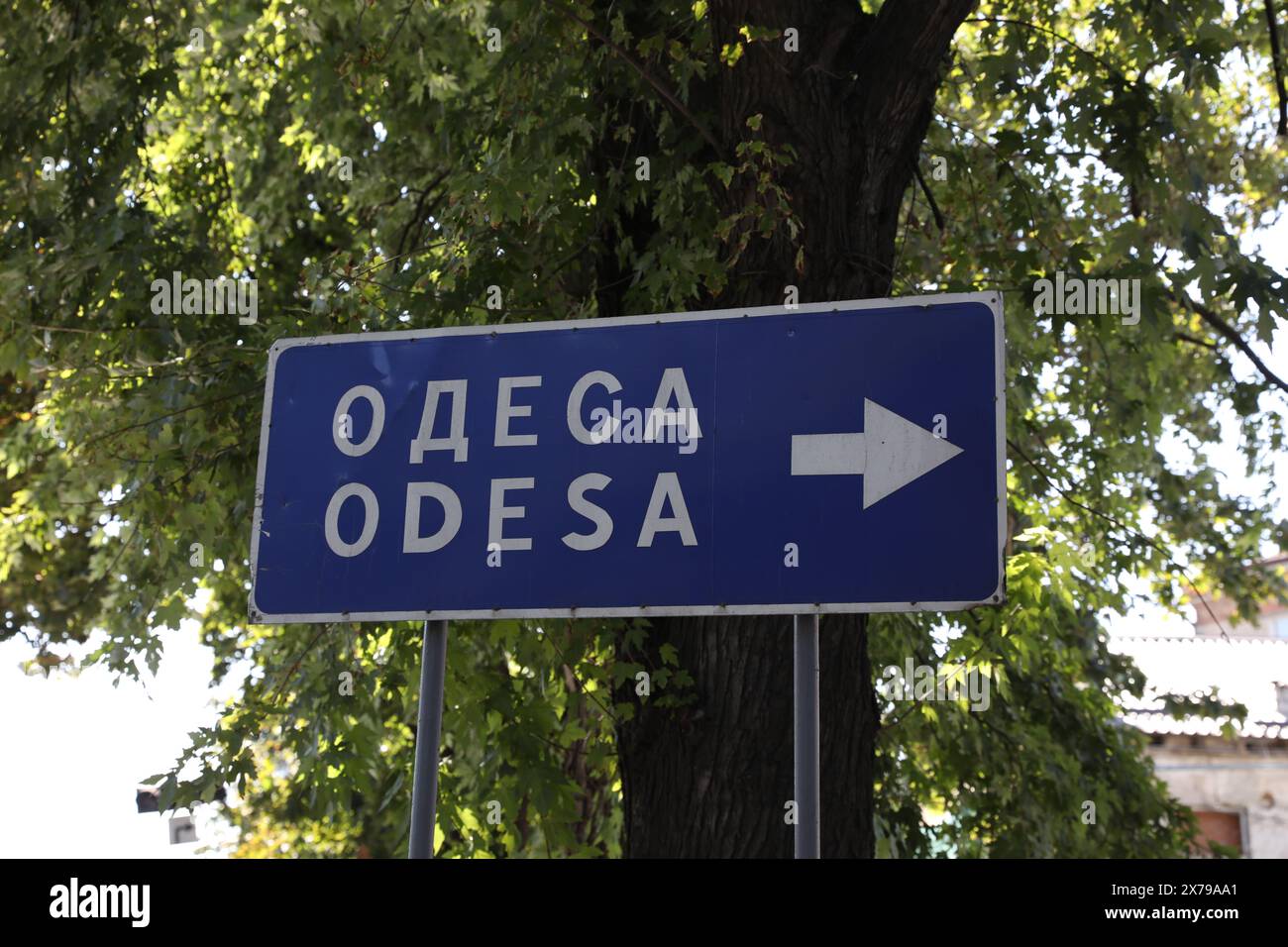 Route Guide Schild mit Ziel in der Nähe von Bäumen im Freien Stockfoto