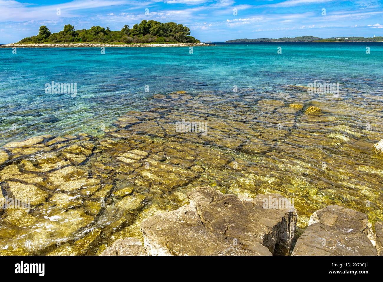 Romantischer Strand in Kroatien, azurblaues Wasser, felsiges Ufer von Rovinj Istrien Stockfoto