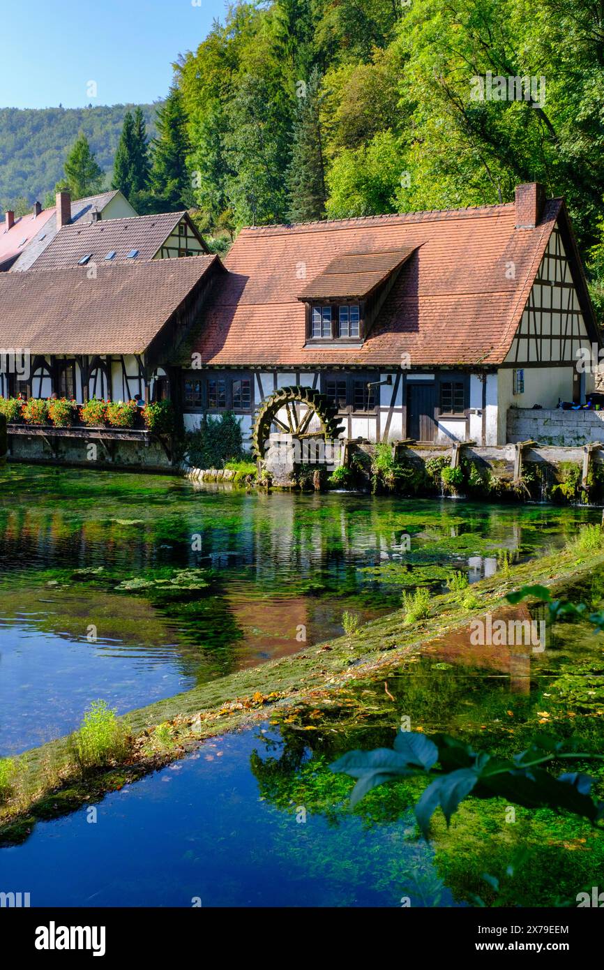 Hammerschmiede, Mühle, Blautopfhaus, am Blautopf, Blaubeuren, Schwäbische Alb, Baden-Württemberg, Deutschland Stockfoto