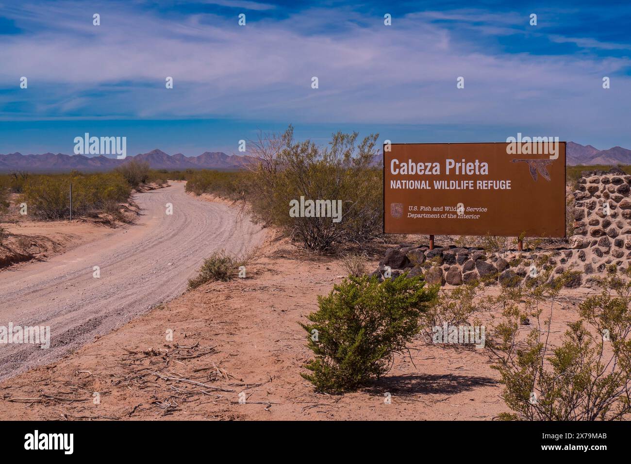 Cabeza Prieta National Wildlife Refuge, El Camino Del Diablo Road, Bates Well Road, Orgel Pipe Cactus National Monument, Arizona. Stockfoto