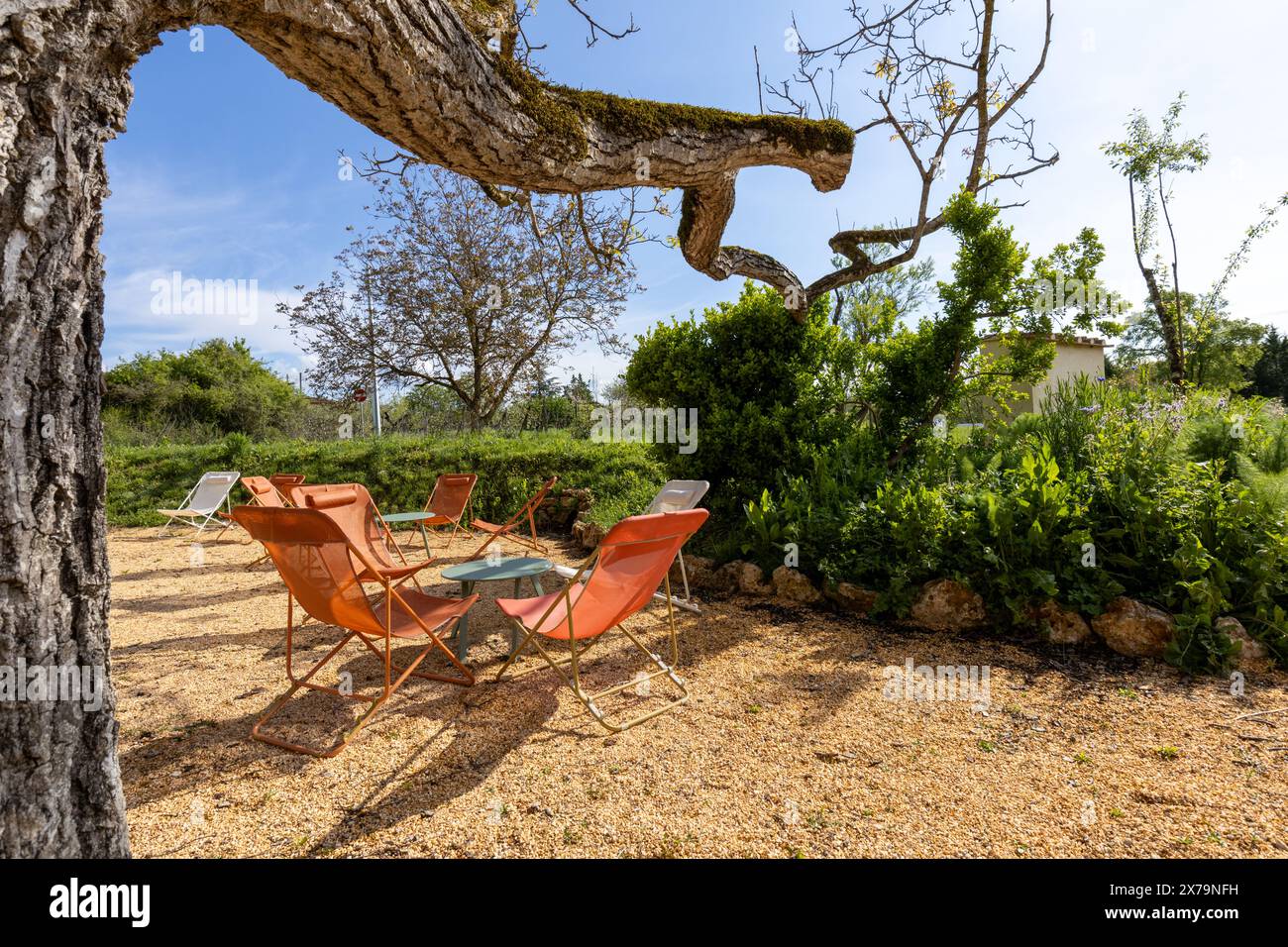 Bunte Liegen und Stühle im Garten eines Agriturismo in der ländlichen Toskana in Italien an einem sonnigen Tag mit blauem Himmel und schönen Bäumen und Pflanzen. Stockfoto