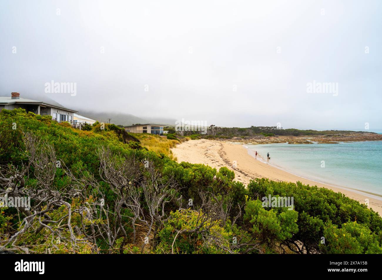 Ferienhäuser auf Foredunes, Picknickstrand, Rocky Cape, Tasmanien Stockfoto